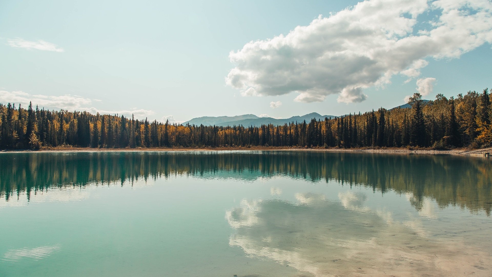 随机德甲逆转好戏：勒沃库森最后15秒绝杀，积分榜局势动荡，勒沃库森最新转会