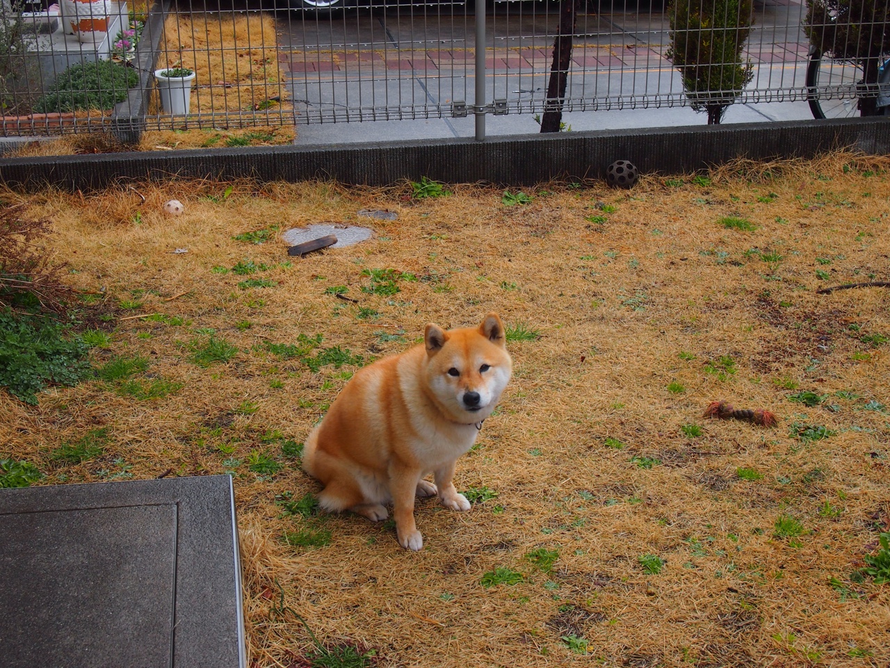 随机赛事公益行动：助学助康公益项目年度总结，助学公益活动标语