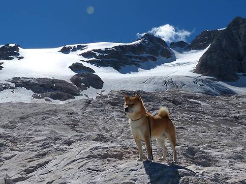 随机一支球队通过一场胜利向联赛冠军发起冲击，一支球队一共比赛了30场,输了12场