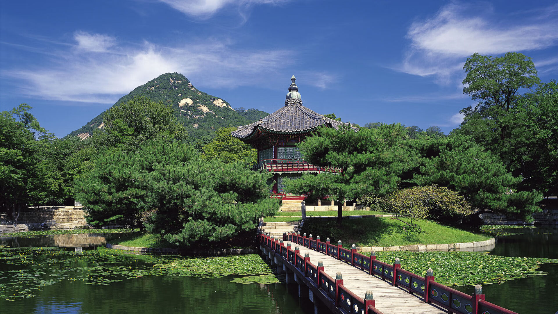 随机亚洲足球锦标赛即将点燃绿茵战火，亚洲足球冠军赛赛程