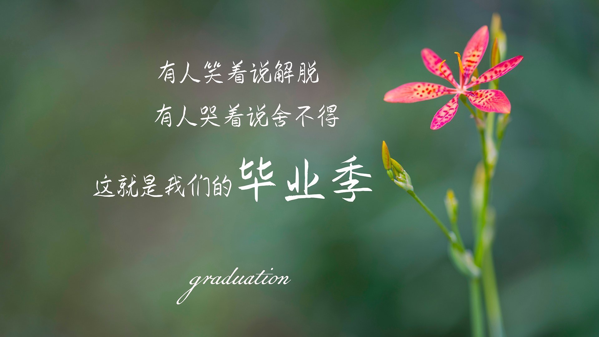 随机切尔西客场一球小胜，继续冲击前四位置，切尔西赢球