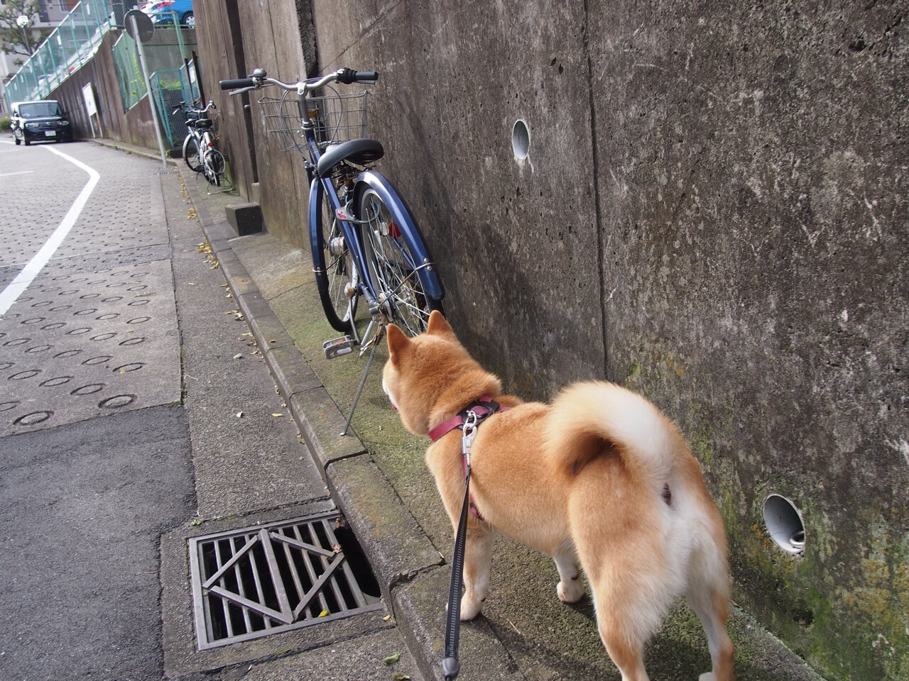 随机国际体坛巨星足球精彩瞬间：场上对决，足球巨星比赛