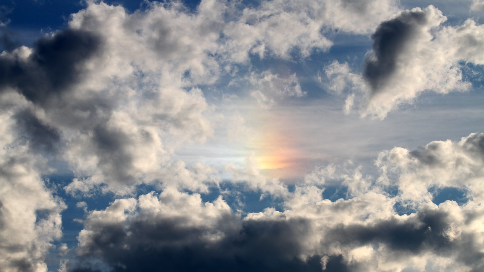 随机夺顶冠：勒沃库森领跑德甲积分榜，勒沃库森德国杯成绩