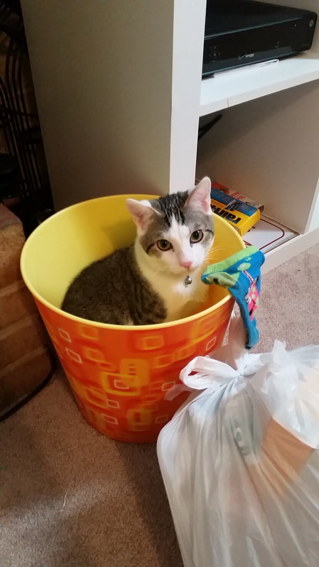 随机瑞士成功晋级欧预赛淘汰赛——实力获得认可，瑞士欧洲杯预赛成绩