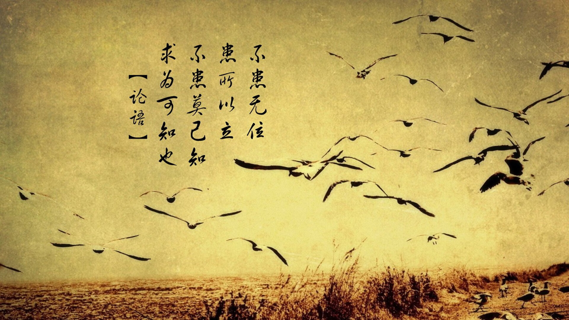 随机皇家马德里主场惜败，欧冠卫冕之路障碍重重！，皇家马德里晋级