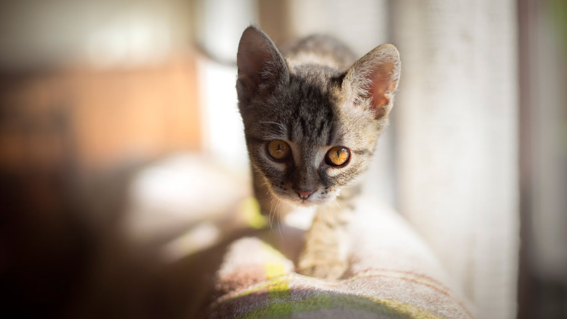 国足防守强度与失球关系回归分析,国足防守反击