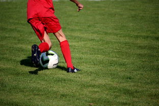 爱游戏体育（AYX）官方APP下载-英超青训体系中情绪调节训练对青少年比赛焦虑的控制作用，英超青训球员定义