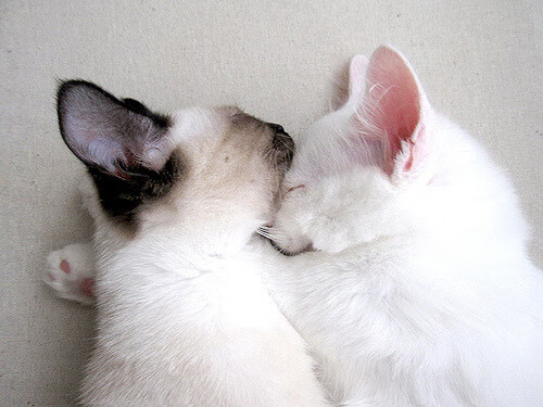 攀岩全国联赛吸引众多新面孔参赛,攀岩比赛日程