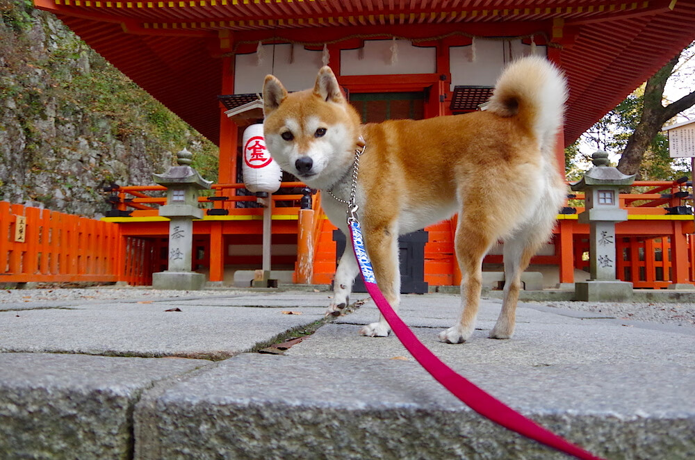 爱游戏娱乐平台-球员放假不足20天，新月或触发争议，球员过年