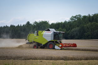 爱游戏在线娱乐官网-田径跨项目交流营探索协同训练新方式，田径跨栏的动作讲解