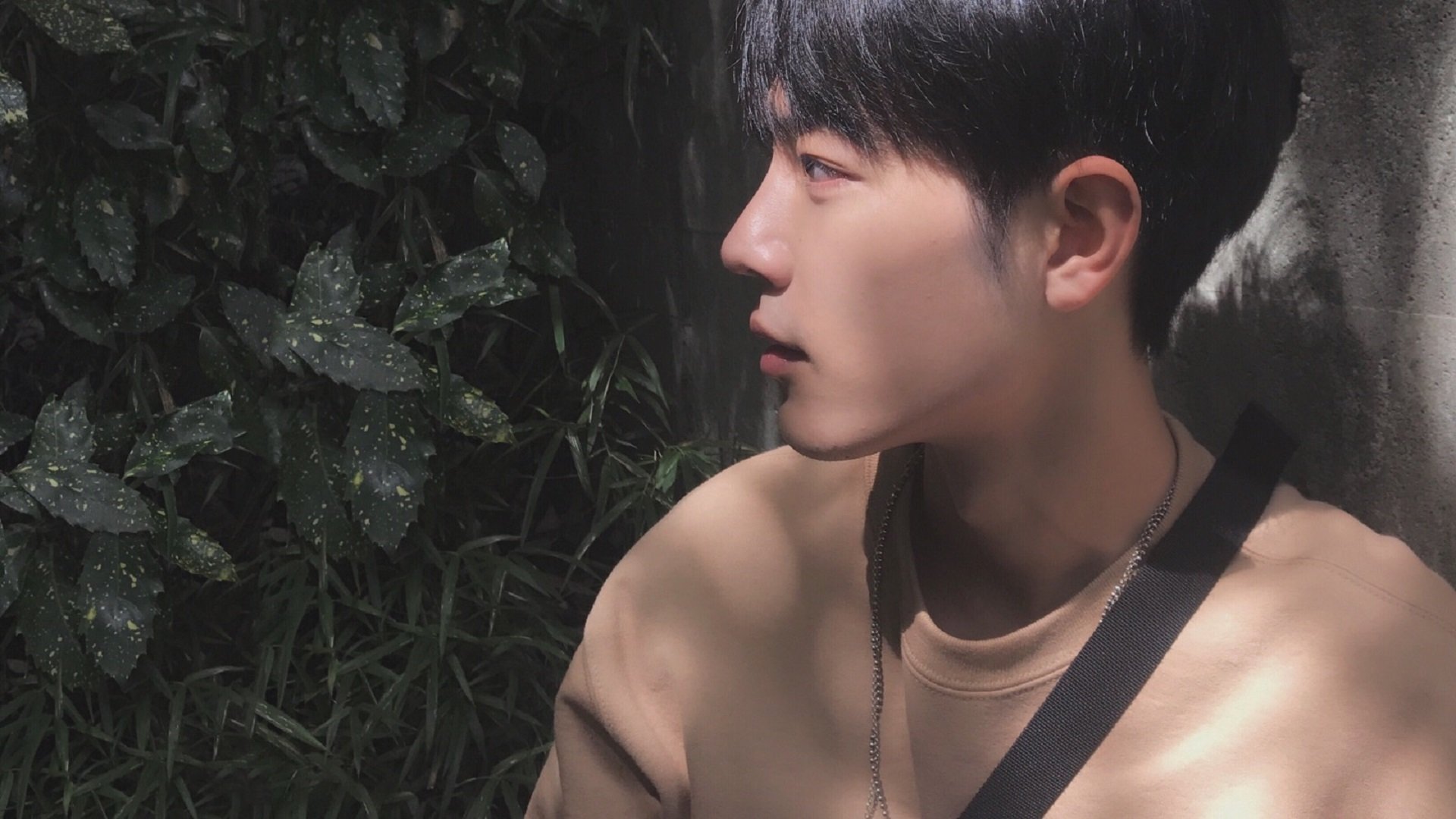 青少年体能训练规范标准出台实施,青少年体能训练项目内容