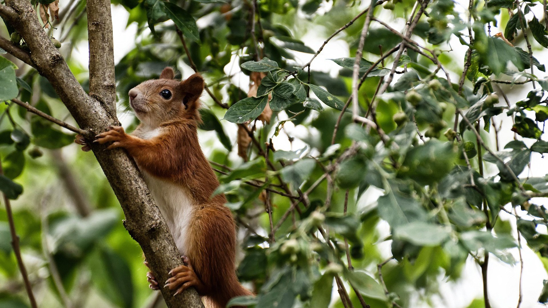 爱游戏娱乐网址-李娜赛场表现获赞网球公开赛，李娜网球公开赛冠军